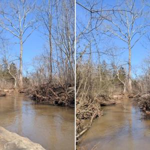 The Little Willis River