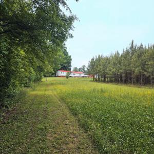Photo #30 of 3634 Old Mansion Road, Lunenburg, VA 8.5 acres