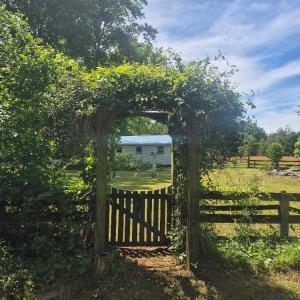Photo #29 of 566 Holman Mill Rd., Farmville, VA 14.9 acres