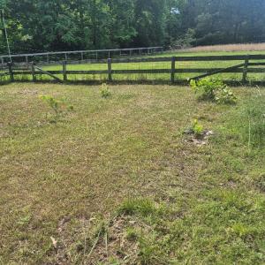 Photo #39 of 566 Holman Mill Rd., Farmville, VA 14.9 acres