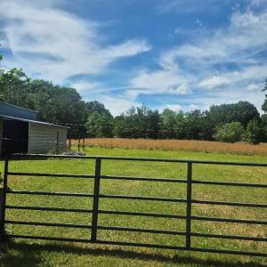 Photo #42 of 566 Holman Mill Rd., Farmville, VA 14.9 acres