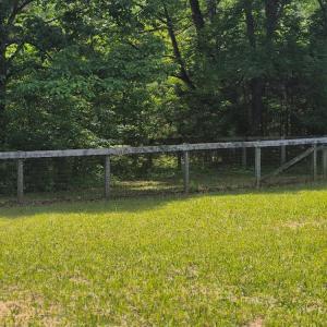 Photo #47 of 566 Holman Mill Rd., Farmville, VA 14.9 acres