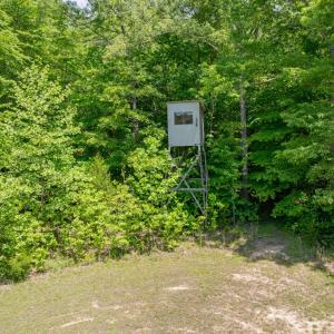 Photo #55 of 505 Kesterson Lane, Victoria, VA 40.2 acres