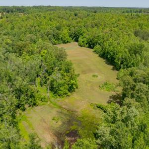 Photo #61 of 505 Kesterson Lane, Victoria, VA 40.2 acres