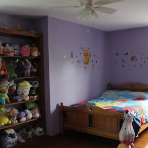 Photo #19 of 87 Northwood Lane, Cumberland, VA 5.7 acres