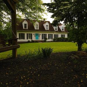 Main View