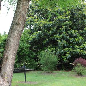 Photo #40 of 87 Northwood Lane, Cumberland, VA 5.7 acres