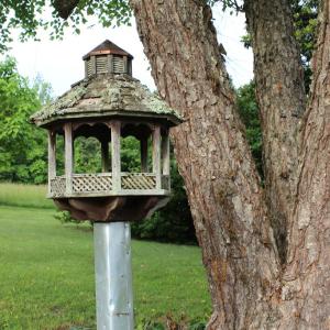 Photo #45 of 87 Northwood Lane, Cumberland, VA 5.7 acres