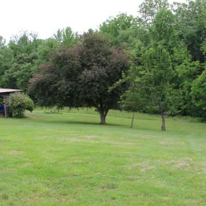 Photo #47 of 87 Northwood Lane, Cumberland, VA 5.7 acres