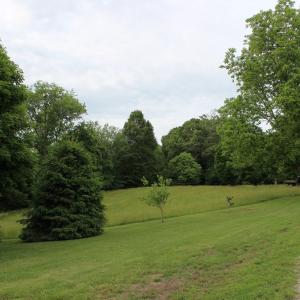 Photo #51 of 87 Northwood Lane, Cumberland, VA 5.7 acres