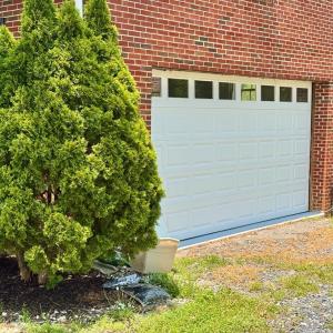Photo #49 of 16667 JAMES ANDERSON HWY, Buckingham, VA 4.9 acres