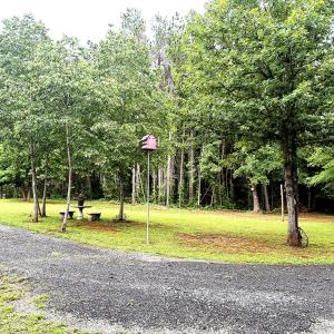 Photo #48 of 824 Double Bridges, Keysville, VA 7.7 acres