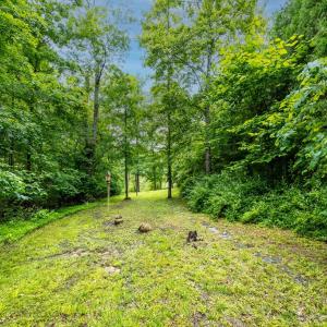 Photo #32 of 198 Trices Lake Road, Cartersville, VA 1.2 acres