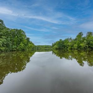 Photo #37 of 198 Trices Lake Road, Cartersville, VA 1.2 acres