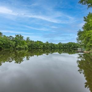 Photo #38 of 198 Trices Lake Road, Cartersville, VA 1.2 acres