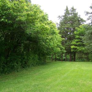 Photo #31 of 2387 New Bethel Road, Meherrin, VA 7.3 acres