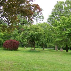 Photo #32 of 2387 New Bethel Road, Meherrin, VA 7.3 acres