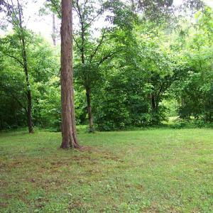 Photo #34 of 2387 New Bethel Road, Meherrin, VA 7.3 acres