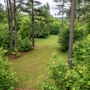 Photo #48 of 2387 New Bethel Road, Meherrin, VA 7.3 acres