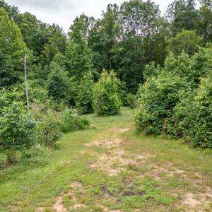 Photo #50 of 2387 New Bethel Road, Meherrin, VA 7.3 acres