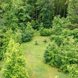 Photo #51 of 2387 New Bethel Road, Meherrin, VA 7.3 acres