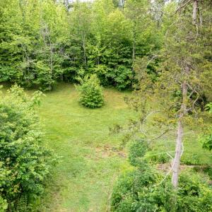 Photo #52 of 2387 New Bethel Road, Meherrin, VA 7.3 acres