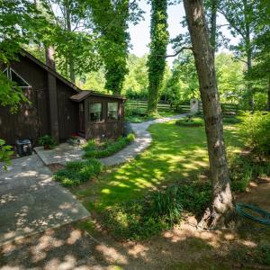 Photo #11 of 3859 Saxkey Road, Saxe, VA 21.8 acres