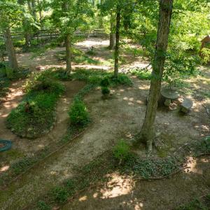 Photo #12 of 3859 Saxkey Road, Saxe, VA 21.8 acres