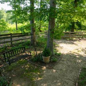 Photo #15 of 3859 Saxkey Road, Saxe, VA 21.8 acres