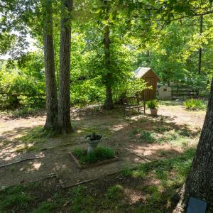 Photo #16 of 3859 Saxkey Road, Saxe, VA 21.8 acres