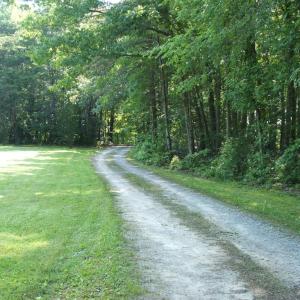 Photo #19 of 3859 Saxkey Road, Saxe, VA 21.8 acres