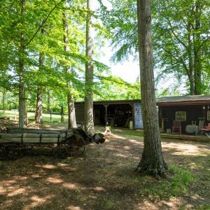 Photo #41 of 3859 Saxkey Road, Saxe, VA 21.8 acres