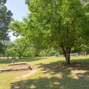 Photo #5 of 3859 Saxkey Road, Saxe, VA 21.8 acres