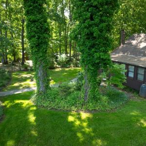 Photo #54 of 3859 Saxkey Road, Saxe, VA 21.8 acres