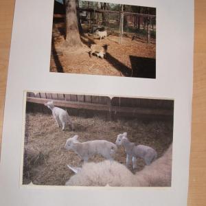 Photo #60 of 3859 Saxkey Road, Saxe, VA 21.8 acres