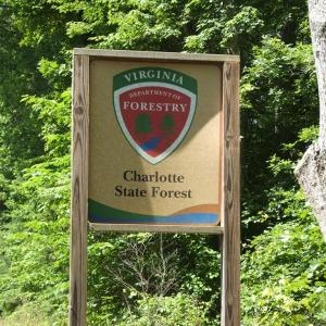 Photo #61 of 3859 Saxkey Road, Saxe, VA 21.8 acres
