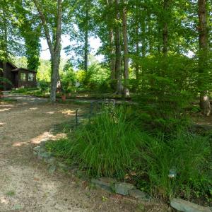 Photo #9 of 3859 Saxkey Road, Saxe, VA 21.8 acres