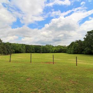 Photo #15 of 10008 Thomas Jefferson Hwy., Charlotte Court House, VA 18.0 acres