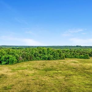Photo #98 of 4948 Bible Rd, Crewe, VA 40.1 acres