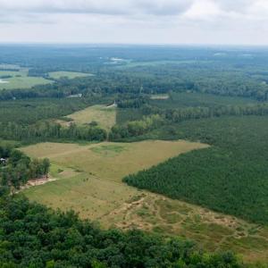 Photo #26 of 464 Whitehall Road, Keysville, VA 11.0 acres