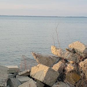 Photo #14 of 19423 SAXIS RD, SAXIS, VA 1.4 acres