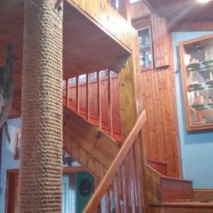 Photo #7 of 19423 SAXIS RD, SAXIS, VA 1.4 acres