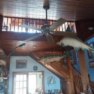 Photo #9 of 19423 SAXIS RD, SAXIS, VA 1.4 acres