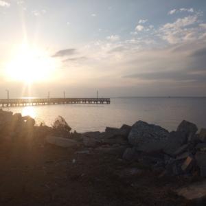 Photo #2 of 19423 SAXIS RD, SAXIS, VA 1.4 acres