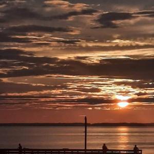 Photo #21 of 19423 SAXIS RD, SAXIS, VA 1.4 acres