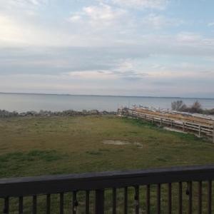 Photo #15 of 19423 SAXIS RD, SAXIS, VA 1.4 acres