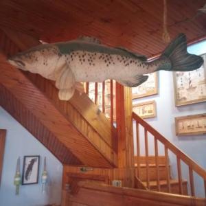 Photo #8 of 19423 SAXIS RD, SAXIS, VA 1.4 acres