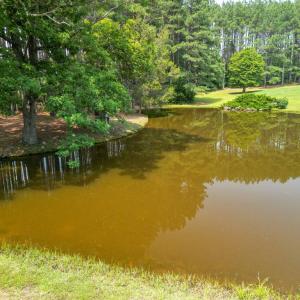 Photo #29 of 967 Ampthill Road, Cartersville, VA 10.0 acres