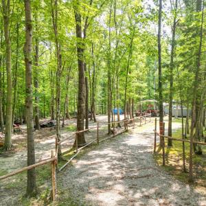 Photo #42 of 967 Ampthill Road, Cartersville, VA 10.0 acres