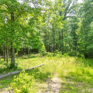 Photo #54 of 967 Ampthill Road, Cartersville, VA 10.0 acres